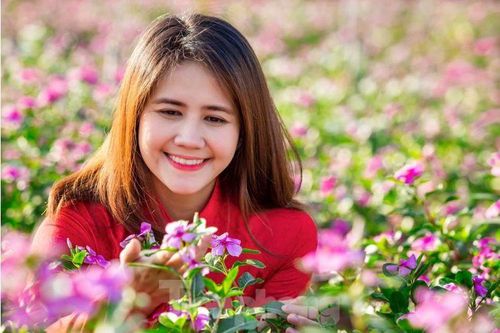 Mãn nhãn sắc Xuân trên đất Thủ ngày cận Tết