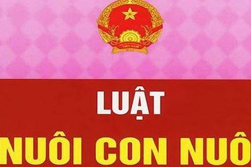 Xin nhận con nuôi, cần phải làm những thủ tục gì?