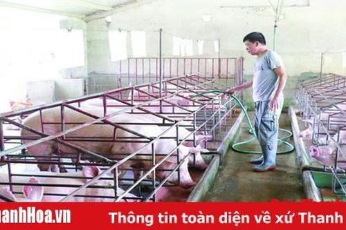 'Vượt bão' thành công nhờ chăn nuôi bền vững