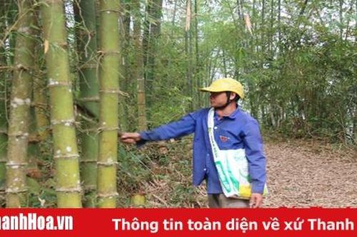 Phát triển kinh tế ở xã Nam Xuân