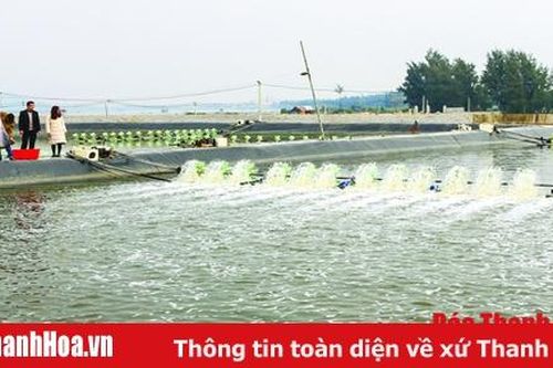 Xã Quảng Nham: Sản lượng khai thác hải sản đạt 10.600 tấn