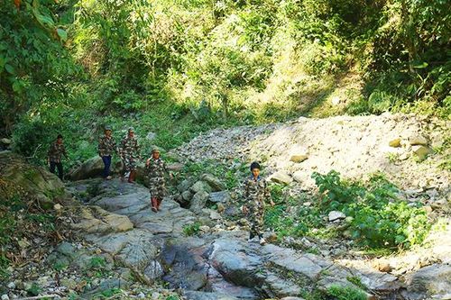 Chủ động ứng phó cháy rừng trong dịp Tết
