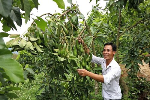 Bảo Lâm nhiều khởi sắc trong phát triển kinh tế - xã hội