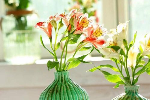 Bí quyết giữ hoa tươi lâu ngày Tết