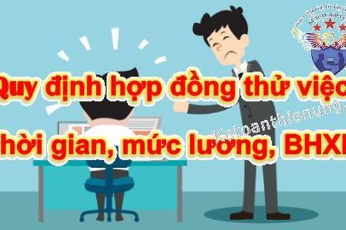 Những quy định về thử việc trong Bộ luật Lao động 2019