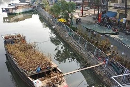 Đìu hiu chợ hoa Tết Bến Bình Đông