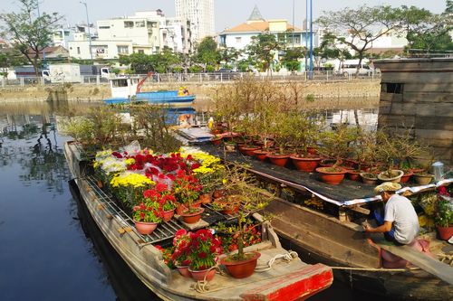 Rực rỡ chợ hoa nổi miền Tây giữa lòng thành phố
