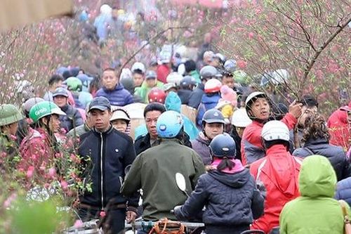 Hà Nội tuần cuối trước Tết, 'nghẹt thở' chợ hoa Quảng An