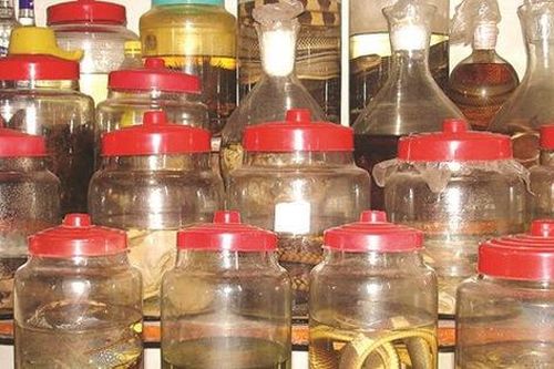 Những gia đình có bình rượu ngâm nên biết điều này để không nguy hại khi uống dịp Tết