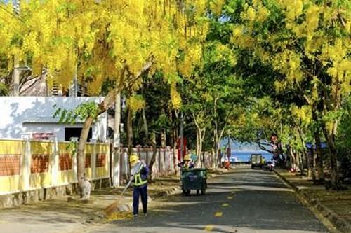 Những khu phố không rác thải nhựa