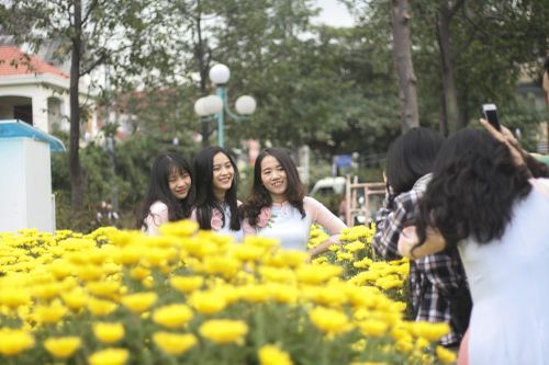 Người dân Bình Định nô nức đi chợ hoa Tết