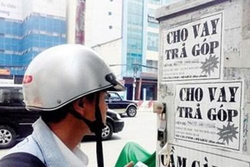 'Siết' chậu mai để trừ nợ, kẻ cho vay nặng lãi ở Bình Định bị bắt