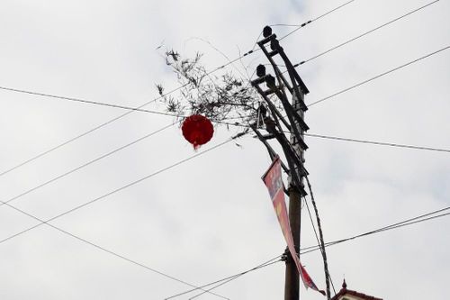 Nguy cơ mất an toàn lưới điện từ những cây nêu ngày Tết