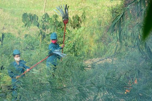 Chủ động phòng, chống thiên tai, tìm kiếm cứu nạn