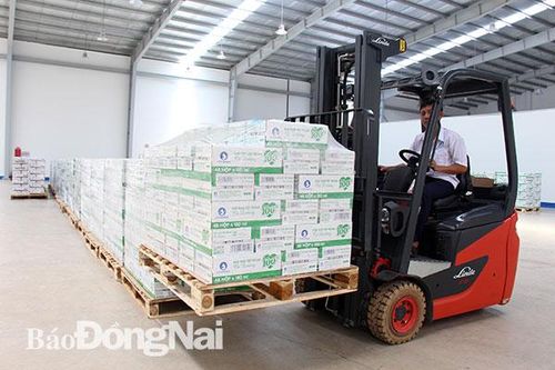 Tăng cường củng cố nội lực