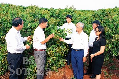 Mở rộng ngoại giao, nâng tầm vị thế