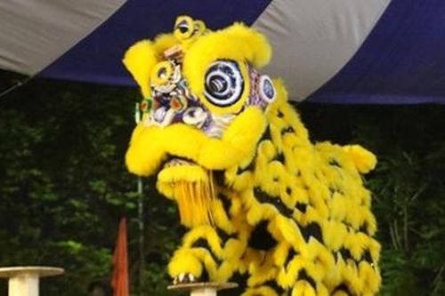 Mãn nhãn tại Giải Lân - Sư - Rồng toàn quốc lần thứ VII năm 2020