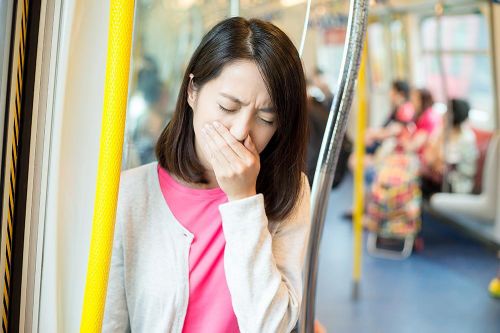 Mẹo hay chữa say tàu, xe khi về quê đón Tết