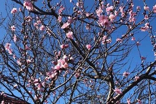 Đã ly hôn, tôi vẫn bị nhà chồng cũ trách không gửi tiền về biếu Tết