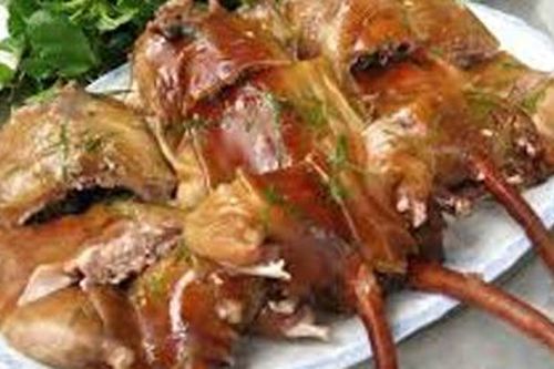 Các vị thuốc từ chuột