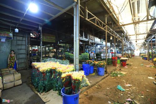 Không khí tất bật đón hoa Tết về ở chợ sỉ lớn nhất TP.HCM