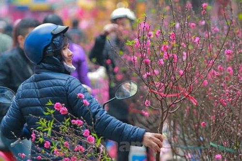 Miền Bắc đón Tết trong mưa rét