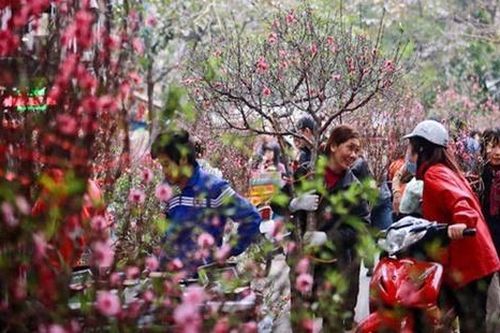 Tết Nguyên đán Canh Tý có khả năng không khí lạnh tăng cường