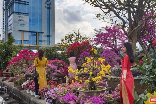 Rộn ràng chợ hoa xuân Đà Nẵng