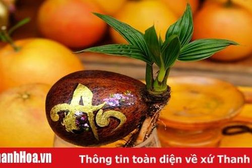 Người 'thổi hồn' cho trái cây