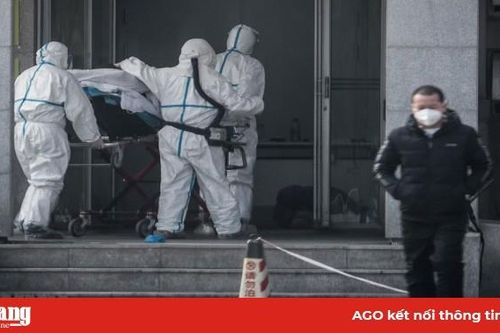 Dịch viêm phổi do virus corona: Vũ Hán triển khai biện pháp ngăn chặn