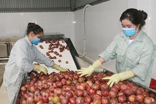 Toàn tỉnh: Thu hút 15 dự án đầu tư các lĩnh vực