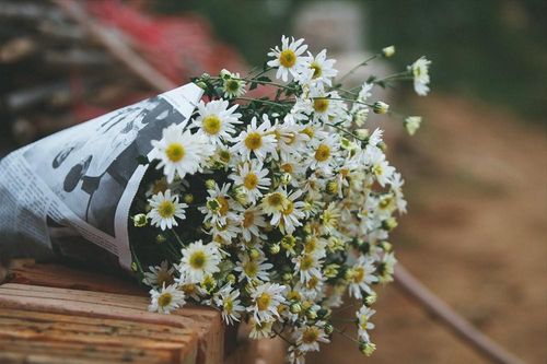 Chuyện xúc động cuối năm : Để lại cho đời
