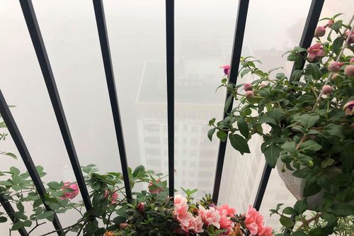 Hà Nội chìm trong sương mù ngày giáp Tết