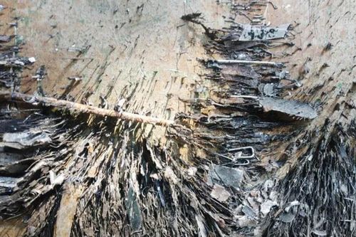 Đinh rải trên quốc lộ 1 ở TP.HCM giăng bẫy ngày Tết