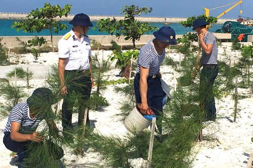 Trường Sa không xa (Bài 2): Mầm xanh, sức sống Trường Sa