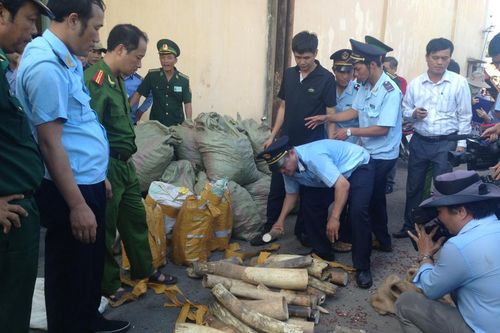 Hải quan đẩy mạnh thực thi pháp luật về bảo tồn đa dạng sinh học