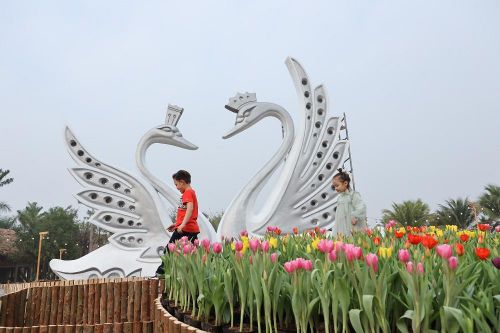 Dịp Tết thưởng thức 'Bản giao hưởng mùa xuân' lung linh tại Ecopark