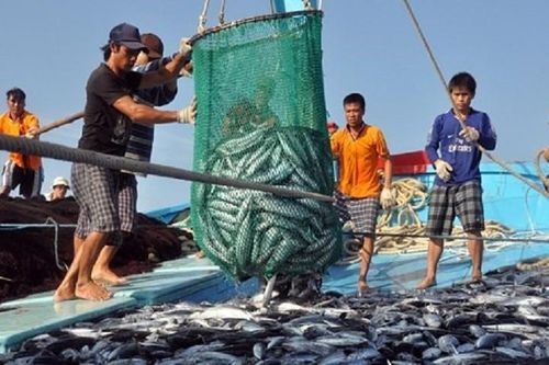 Lênh đênh Tết ngư dân