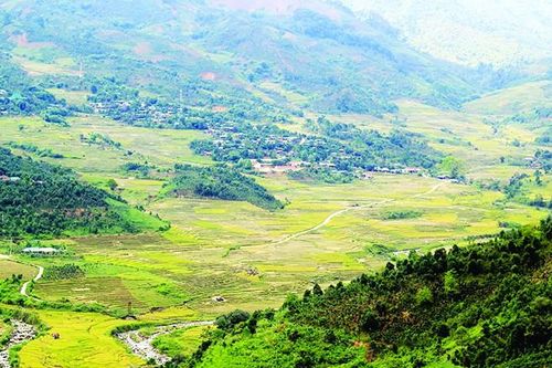 Tôi đi săn chuột 'quý tộc'