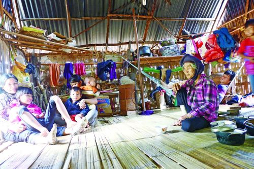 Về nơi loài người bắt đầu đứng thẳng