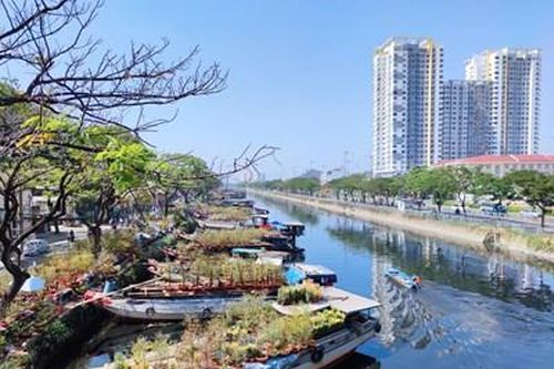 Cận cảnh chợ hoa độc đáo những ngày giáp Tết ở TP HCM