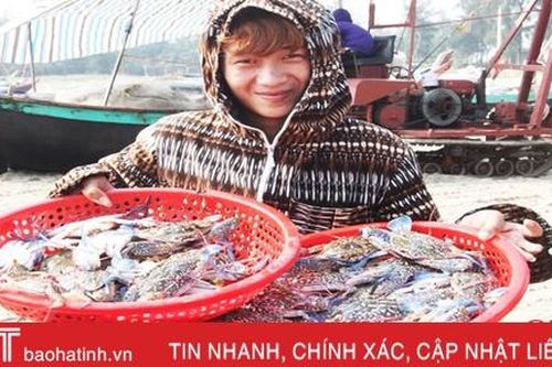 Biển gọi xuân về…