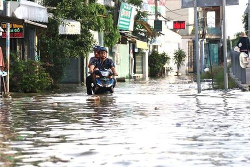 Đảm bảo an toàn công trình phòng chống triều cường dịp Tết Nguyên đán