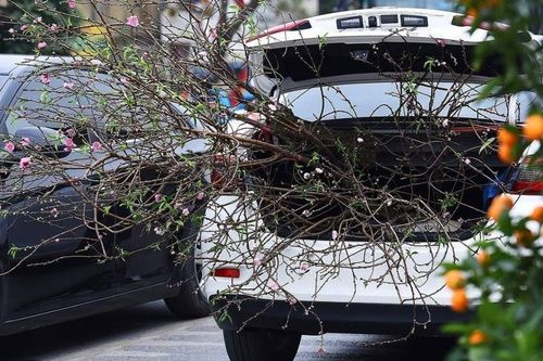 Những điều cần chú ý khi lái xe đường dài về quê ăn Tết
