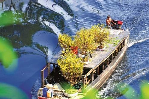 Sau đường hoa, sông hoa sẽ là lễ hội mùa xuân?