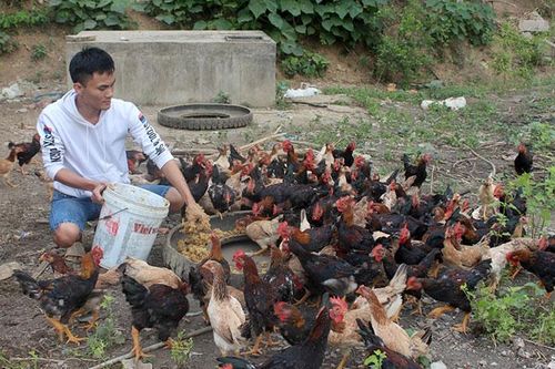 Tín hiệu vui từ xóa đói giảm nghèo