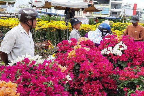 Hoa giấy rực rỡ đón khách mua
