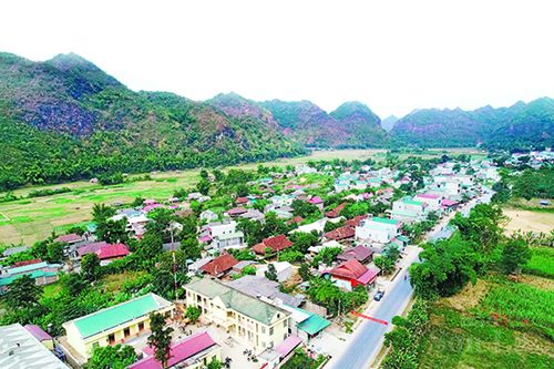 Xuân về vùng quê nông thôn mới