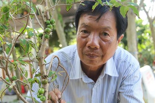 Cây, trái 'độc, lạ' hút hàng dịp Tết Canh Tý