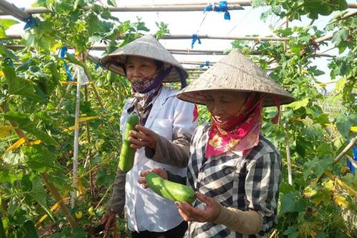 Thúc đẩy phát triển bền vững